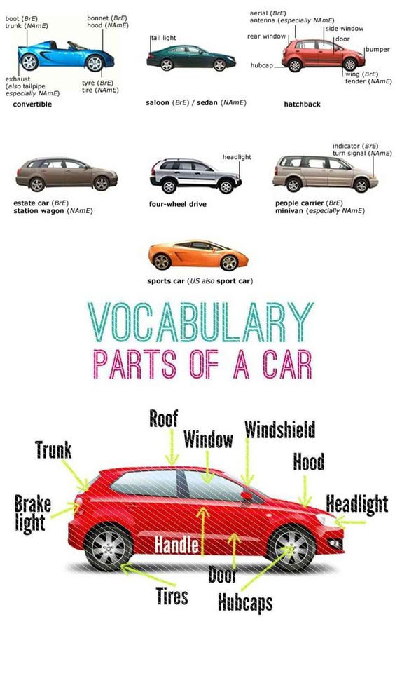 Rev up your automotive knowledge with a pit stop at 'Vocabulary Junction.' Here's a breakdown of essential parts that keep your ride in gear. 🚗🔧 #CarVocabulary #AutoAnatomy #UnderTheHood #AutomotiveTerms #CarComponents #GearheadGlossary #PartsOfACar #AutomotiveJargon