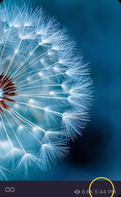 Shanneighteen's tweet image. Feb. 24
#Day55 
#blackrock
#114occupancy 
#REDlobster
#makeawish💫
#ihavetheMOLE 
#Bumper=75=#carrot #magicwand🪄
#Justice 
July 29🎂=11.4/7.11 69/99
Feb. 25
#randomSTOP
#FINDGEORGE 
#Day271=#Day284=Aug. 15=#stakeout🚔
#twodaysaheadofschedule 
#learnourcomms 
#directcomms