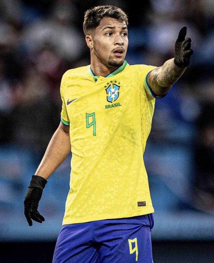 santaodamassafc's tweet photo. o verdadeiro 9 que a seleção precisa: https://t.co/DHHJsdtwsi