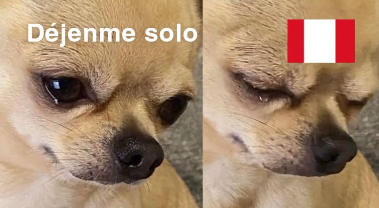 Piperdarkius's tweet photo. Salga se de twitter , déjenme solo 
#peruvschile #reynoso #seleccionperuana #Guerrero #todoaperu #Peru #EliminatoriasSudamericanas #roldan https://t.co/owscAdSHXS