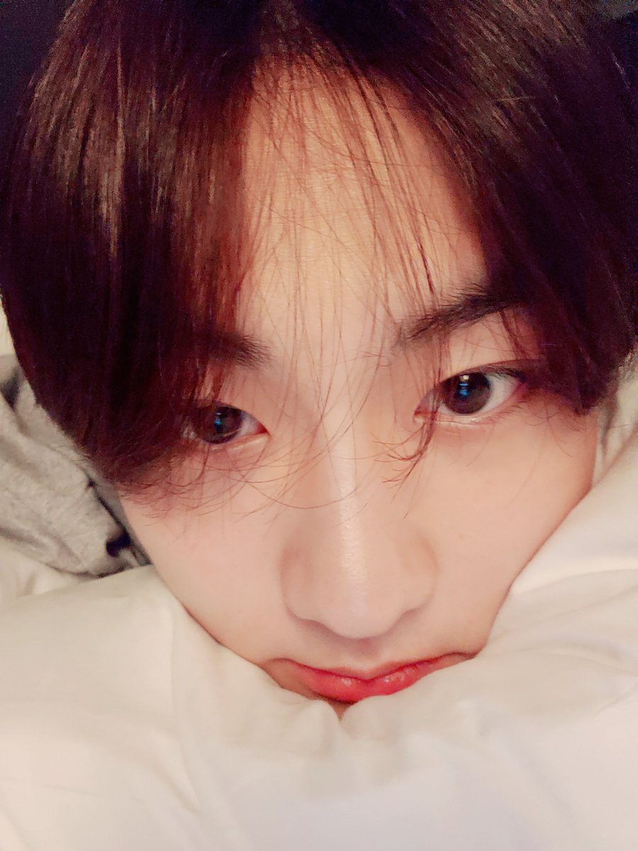 ENHYPEN WEVERSE tweet media