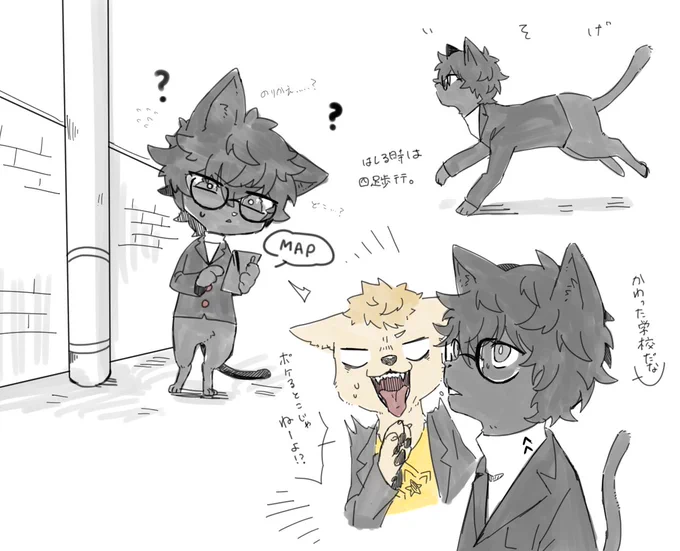 けも 