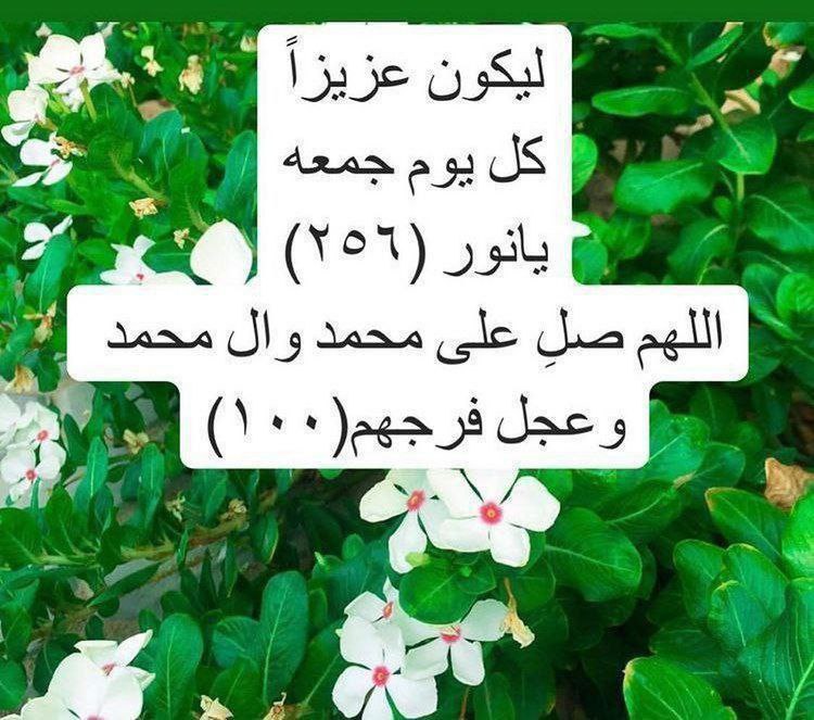 HaiderAlaatabi's tweet photo. https://t.co/TxkyxmmVy0
