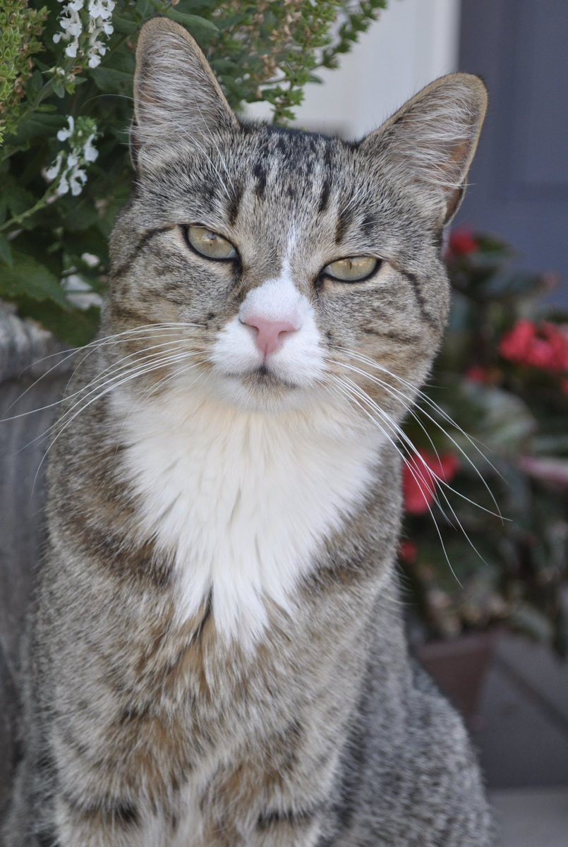 Dawn Gunner tweet media