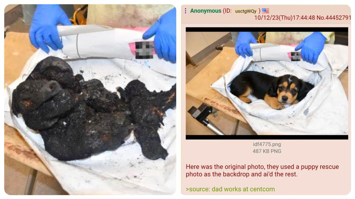 ShaykhSulaiman's tweet photo. BEN SHAPIRO’S PHOTO - PEOPLE ARE CLAIMING THAT THE ORIGINAL PHOTO IS THAT OF A DOG ON THE RIGHT

Thoughts? https://t.co/IwPGwUmEPw
