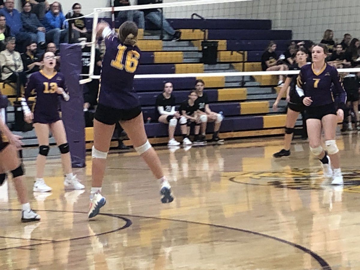 Holgate Athletics tweet media
