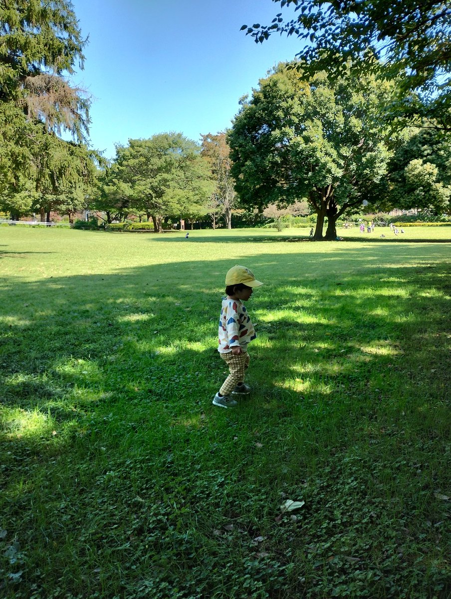 melanzane_'s tweet photo. 秋晴れの国分寺散歩。わんこ達と来た公園を孫と歩く幸せ。
綺麗に整備された国分寺のオアシス、、、住みたい街ランクアップのために、写真をアップ。
お帰りは国分寺南口、メランツァーネへ、11:30開店です。 https://t.co/GA3T2TmTBr