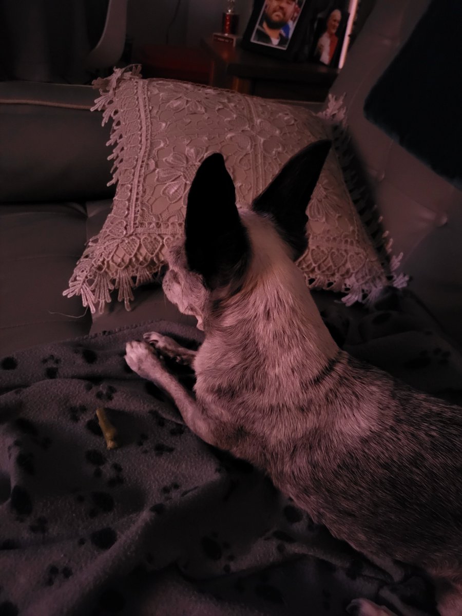 Cathie McKinnon tweet media