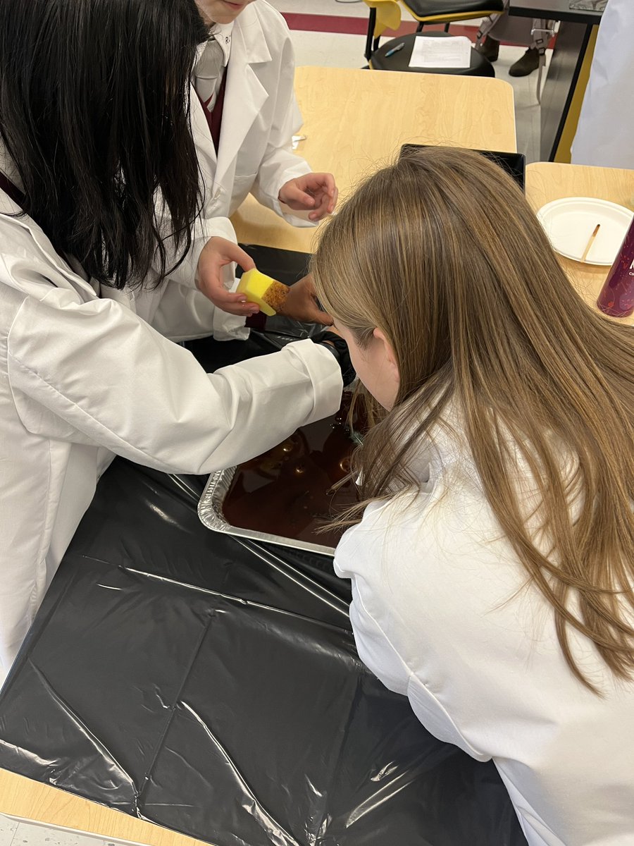 Experimenting in STEM - how can we best clean up after a simulated oil spill? Which team can recover the most oil? Which methods work best? #together #becurious #weareRundle <a href="/rundlecollege/">Rundle Schools</a>