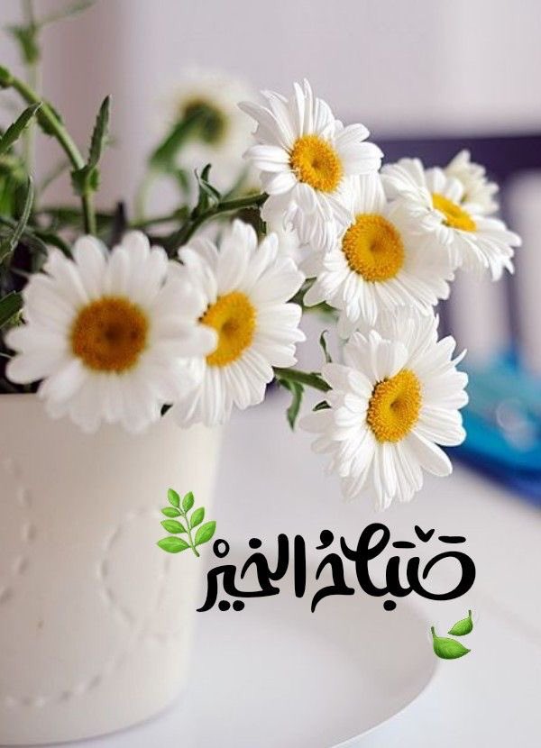 •

 صباح   هادىْ .. و أنفاس تَحمَل تفاؤل ويقين بأن كل ما سيكتبه الله  لنا في كل صباح خير و جميل..."🍃

#صباح_الخير_والسعاده 
#يوم_Iلجمعه