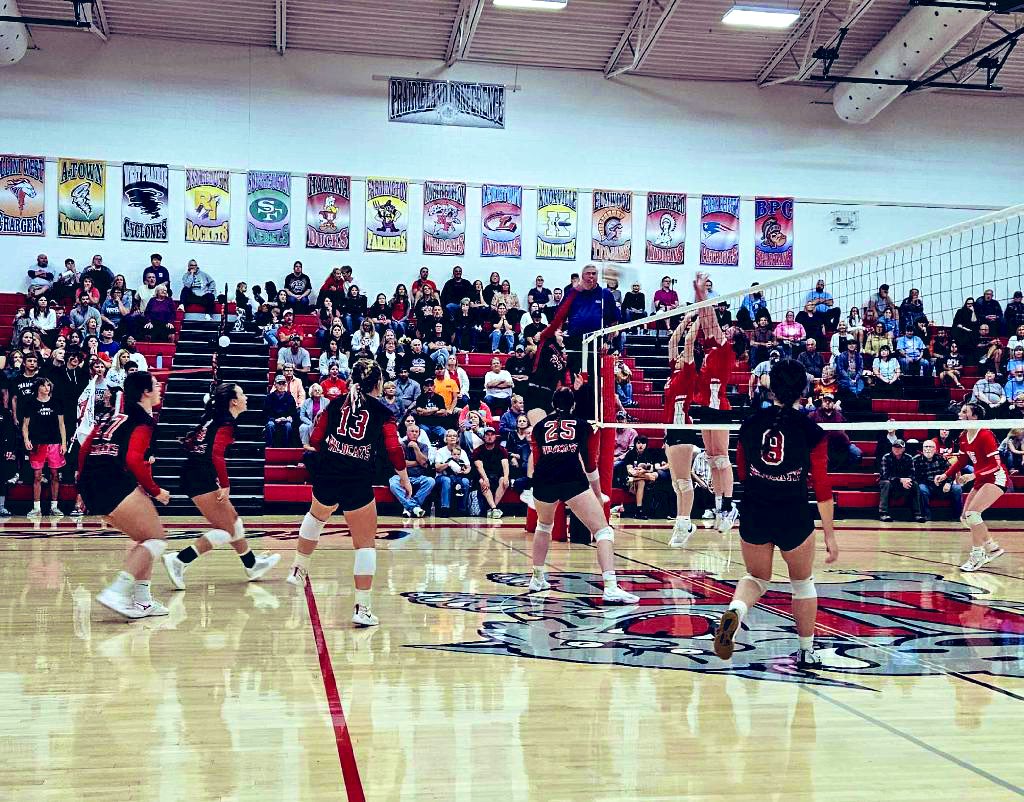 McTeacher5's tweet photo. Brought the HYPE squad tonight! NF def. Lewistown 25-17; 25-19. Yaste 8 kills, 2 blocks; Whitsitt 5 blocks; 7 kills; Bradford 6 points, 5 kills; Munson 19 digs; @sadiearnett11 11 digs, 8 points; @oliviamiller_03 14 assists, 2 aces, 7 kills. #4teamvalley #letsgocats #nfwildcats https://t.co/w9KUeDPKCt