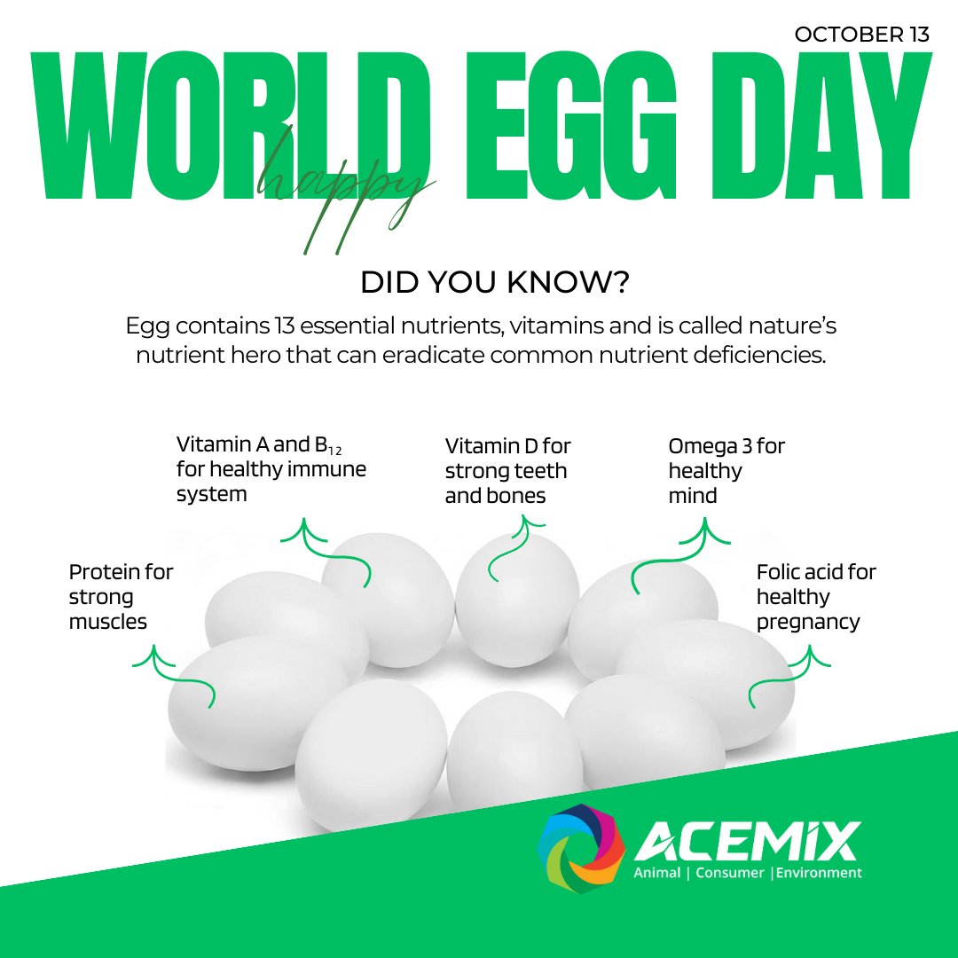 ACEMIX_OFFICIAL's tweet image. Happy World Egg Day
"Did you know? Eggs aren't just delicious; they're also packed with essential nutrients for a healthy life. Celebrate Egg Day with a delicious dose of wellbeing!"  #happyeggday🥚#eggsforahealthyfurure #perfectprotein #delicious #healthylife #eggs