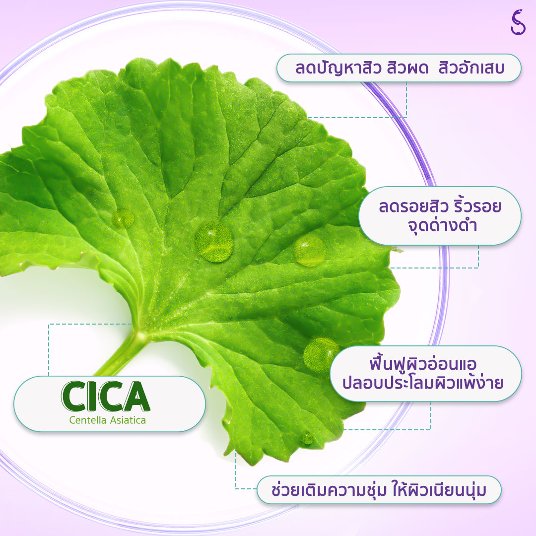 😍 #โซลาคลีนซิ่งทิชชู่ ไอเทมคลีนผิวที่ไม่ควรพลาด มีขายแล้วที่ #เซเว่น  
สะอาดเกลี้ยงทุกรูขุมขน ลดปัญหาการเกิดสิว

1 ห่อมี 20 แผ่น ราคา 59 บาทที่ 👉🏻 #เซเว่น 

linktr.ee/solacosmetic

#สินค้าใหม่ #คลีนซิ่งทิชชู่ #ลดสิว #ของมันต้องมี
