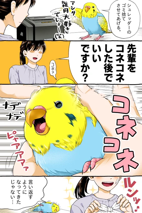 コネコネしていいですか?
--
「いじわる先輩、インコになった!? by初丸うげべそ @ugebes0 」 #インコ #ヤメコミ #4コマ漫画
▼初丸うげべそさんの過去作品
https://t.co/3bw551kglx 