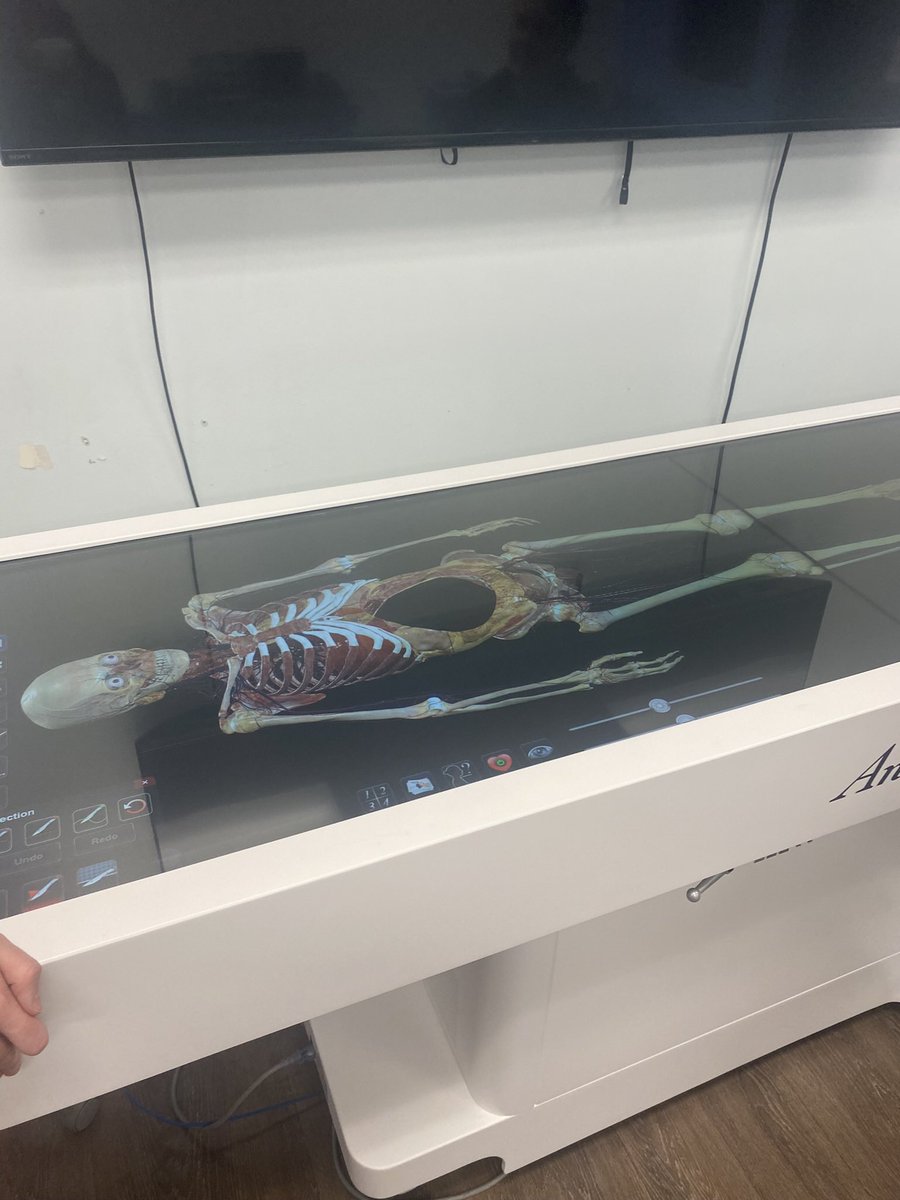 gcc_jsample's tweet image. Day 50- Superintendent’s Fall Tour at SAVA!!! Had a great time at SAVA learning more about the academic and CTE programs we offer. Yes I participated in the culinary class and took some time shoot hoops with a student (he won)! #gcclevelup #proudgccsupt