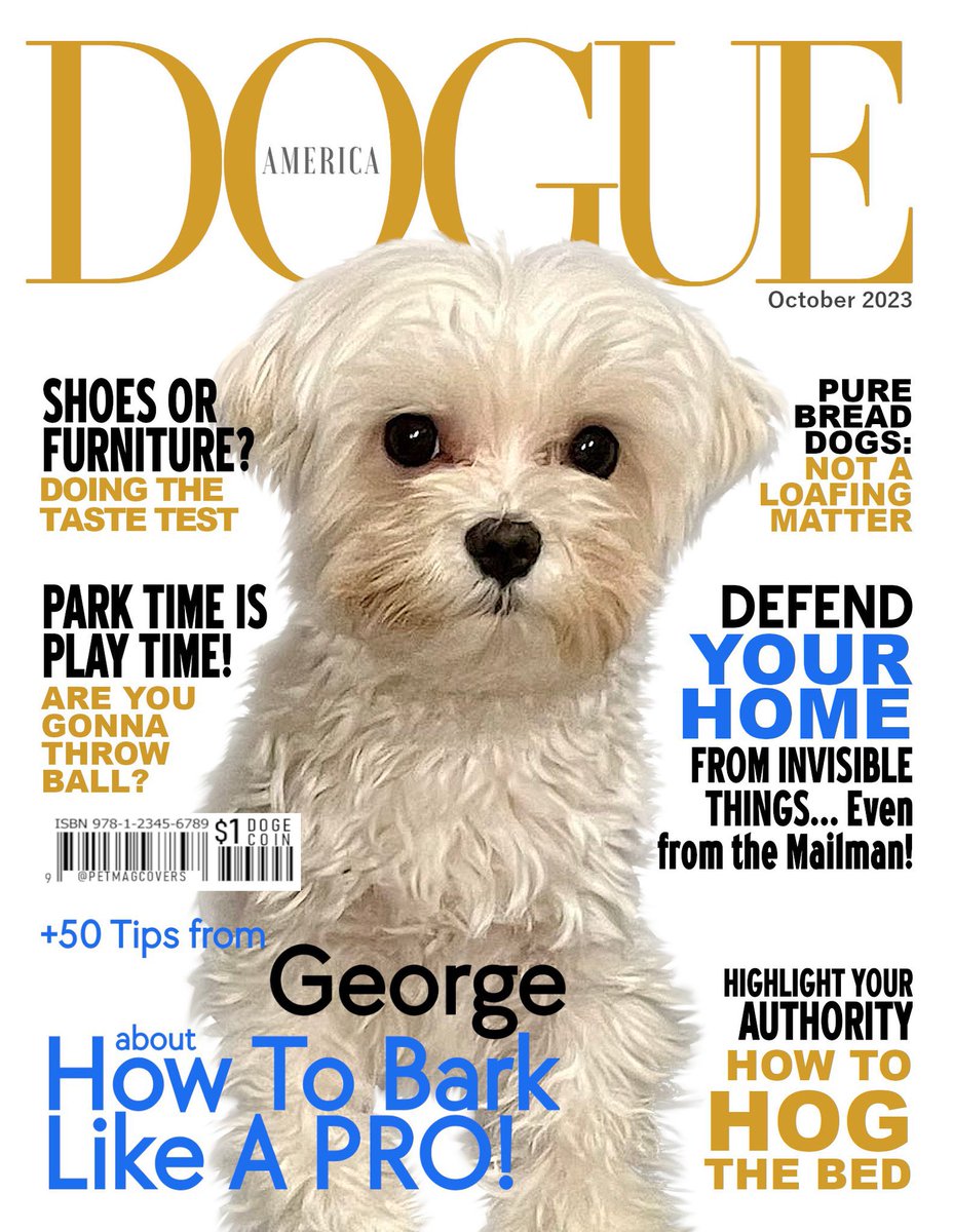 Amy-Marie Collins & Georgie Boy 😉 tweet media