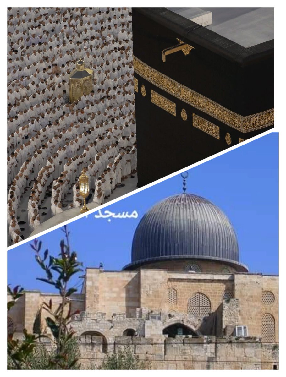 Fachanna's tweet photo. "Do not ever think that Allah is unaware of what the oppressors do. He only postpones them until a Day when the eyes will stare (in horror)." (14:42)
#IsraelTerrorists
#Holocaust
#Gaza #Palestine #GazaUnderAttack #PalestineUnderAttack 
#Hitler
#MasjidAlAqsa #AlAqsaMosque https://t.co/SajXG0VDyB