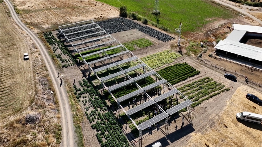 • Arazide toplam 122 kilovat pik kurulu güce sahip, çift yüzlü panel teknolojisinden faydalanıldı
• Panellerin konumlandırılması tek eksenli ve güneş takibi olacak şekilde tasarlandı

Türkiye'nin ilk güneş takip sistemli tarım GES'i açıldı v.aa.com.tr/3017090