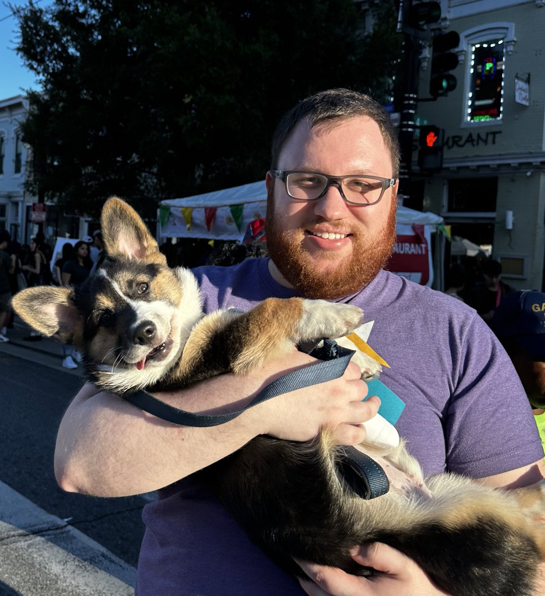 I don’t post often but I feel Twitter deserves a chance at seeing my Corgi puppy ❤️