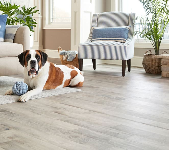 At Trioflor, we are proud to introduce SPC flooring with Diamond-Core™ finish with built-in reinforcement, ensures your floors remain resistant to scratches and wear. Even if you have an active pet, you can still have beautiful floors.
trioflor.net
#spcflooring