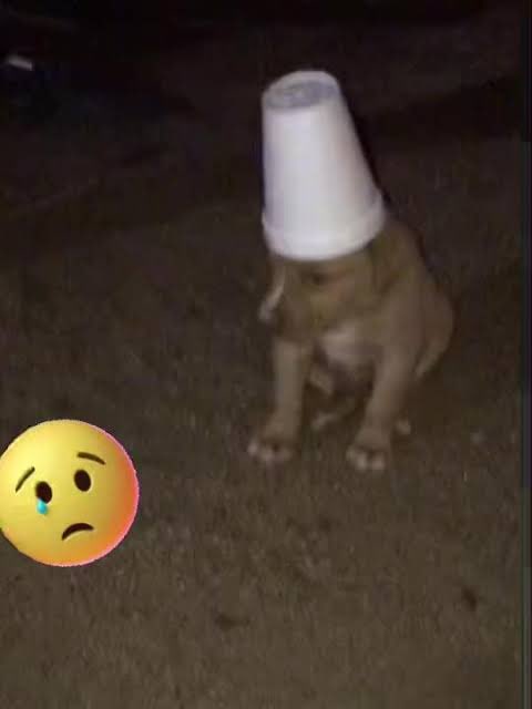 Mal semana para ser del físico 😿💀