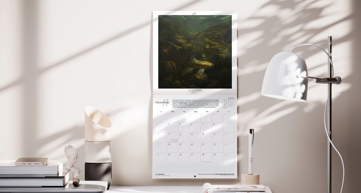 Elaine Chen ☘️ tweet media