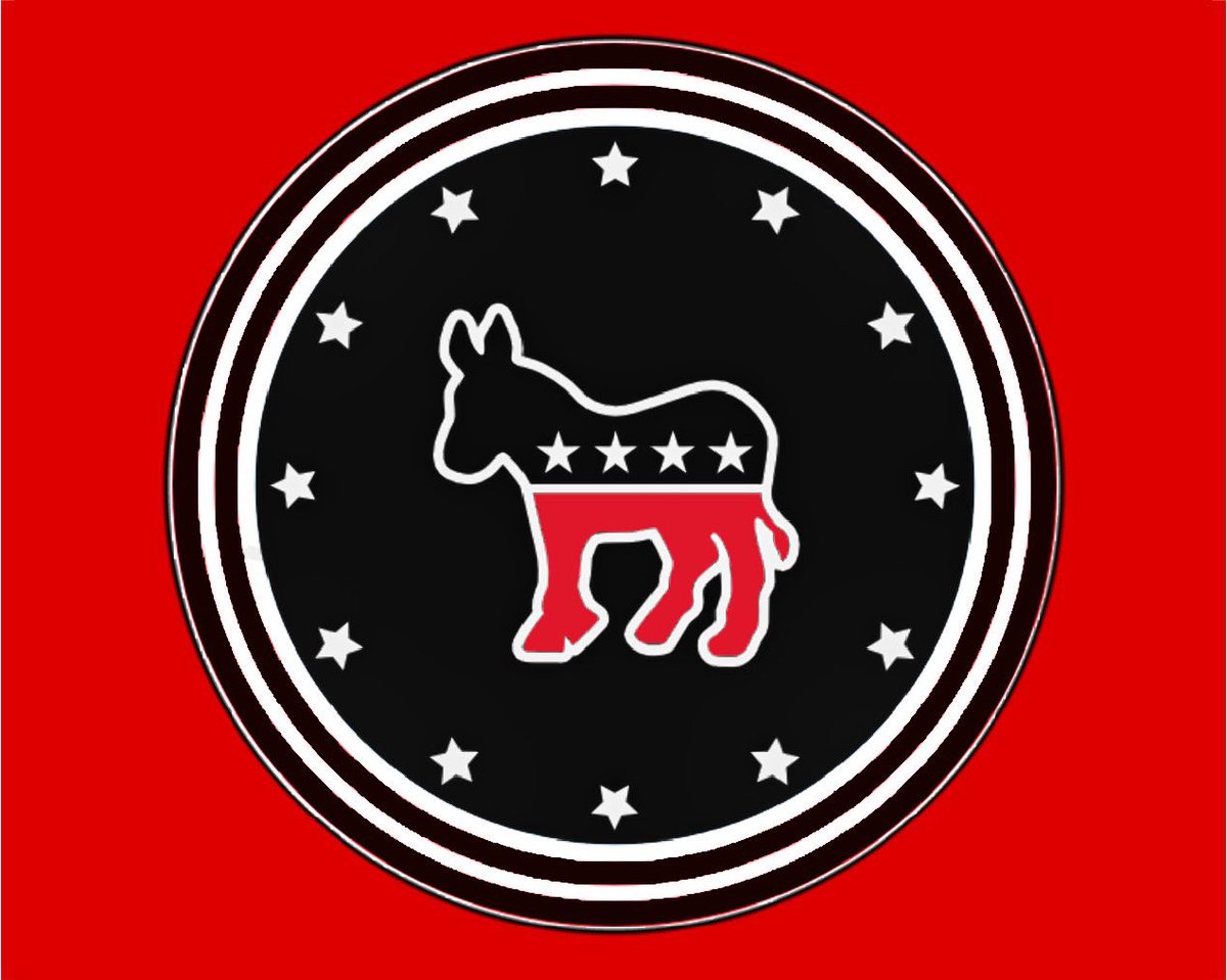 JohnGreenwald77's tweet photo. I propose that a name change is in order. I believe the DNC should no longer beat around the bush and officially change to the Democratic Nationalist Socialist Party in order to reflect its values. Therefore, to that end,  I have also designed a new emblem. https://t.co/5vm4BVUBtw