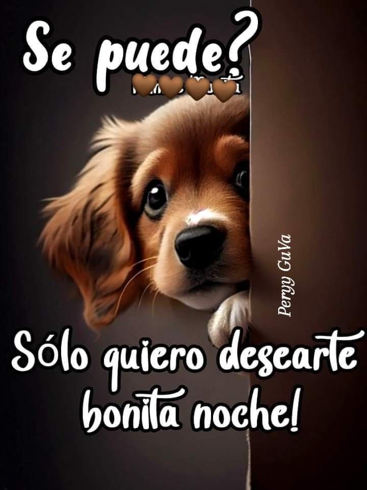 Que tengan hermosa noche y bellos sueños colmados de paz 🙏 bendiciones que descansen 😴💤