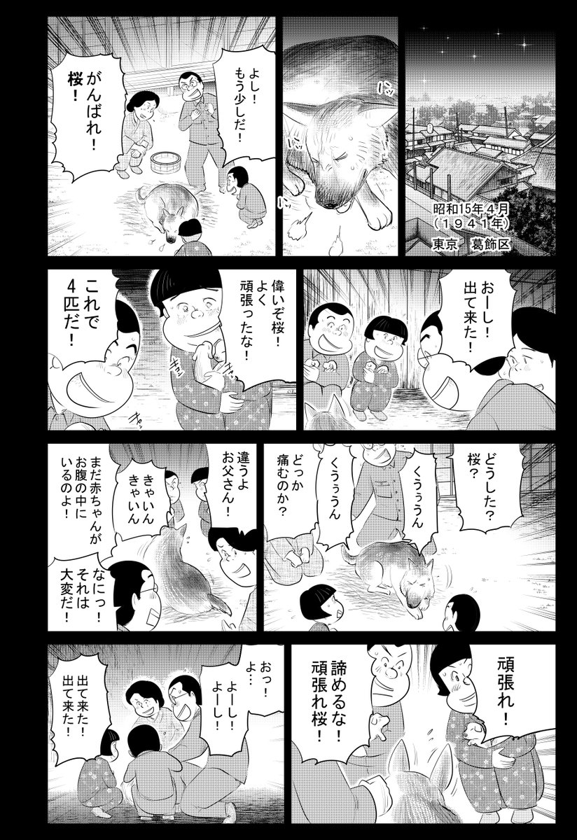 戦争めし『軍犬 幸の物語:前編』

全部で16P 4回に分けて更新します

②につづきます

どうぞよろしくお願いいたします 