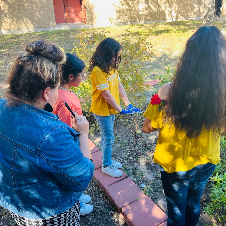 RooseveltBronc1's tweet photo. The BOTANICAL BRONCOS Garden Club held their first meeting today. 🪴We look forward to our next meeting on Thursday, October 19th. All 3rd-5th grade Broncos are welcome to join! 🐴❤️🌻
#BroncoPride #BotanicalBroncos https://t.co/S0tgro98rX