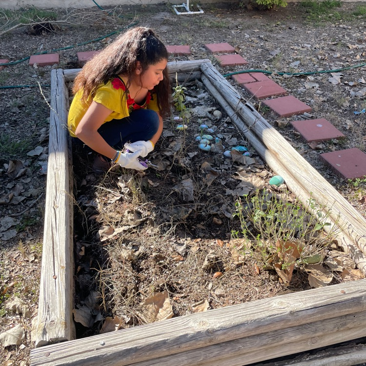 RooseveltBronc1's tweet photo. The BOTANICAL BRONCOS Garden Club held their first meeting today. 🪴We look forward to our next meeting on Thursday, October 19th. All 3rd-5th grade Broncos are welcome to join! 🐴❤️🌻
#BroncoPride #BotanicalBroncos https://t.co/S0tgro98rX