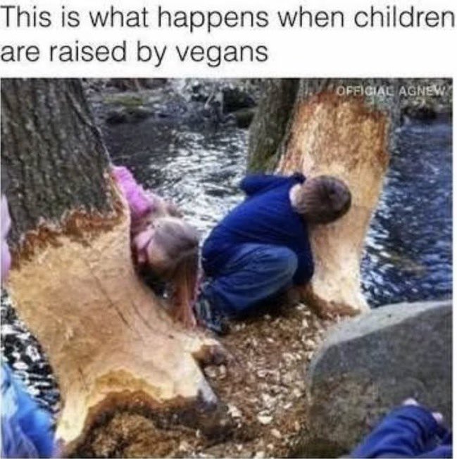 Charles🍀 tweet media