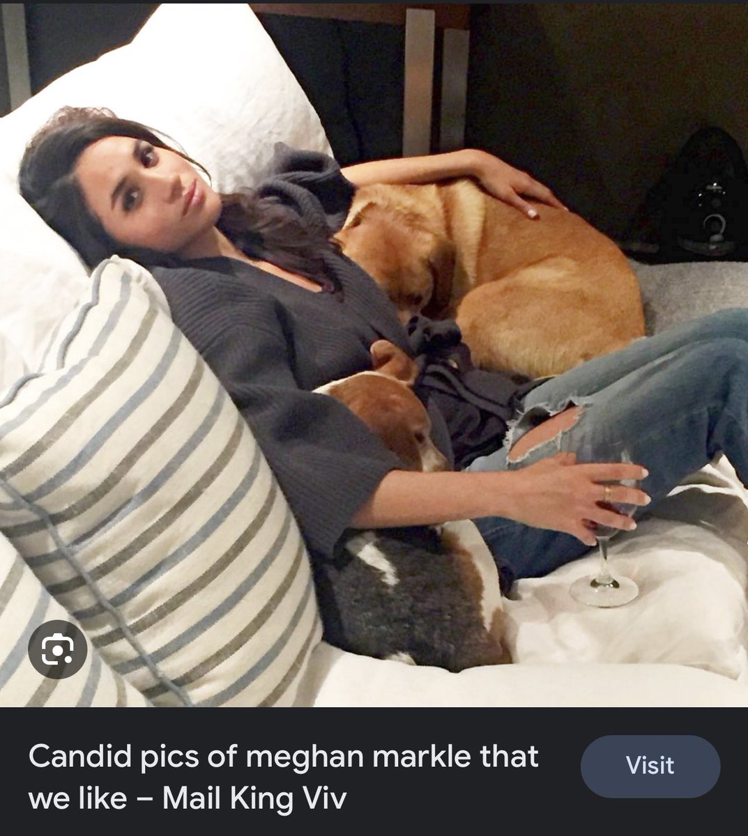 letubana's tweet photo. @mummysunshine When she was a #DogMom…way before #PrinceHarry &amp; his 2 #GingerHeads took over her space.. https://t.co/h6KuxLxghZ