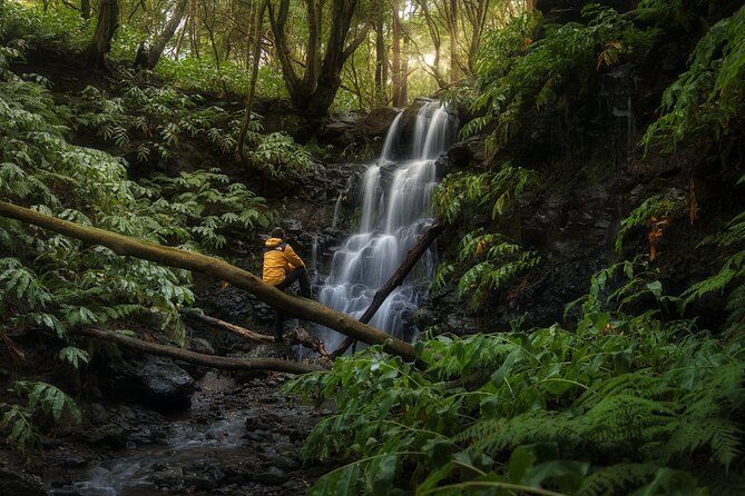 dott_tickets's tweet image. #Alongside a #private #guide, #enjoy a #fullday of #exploring the #volcanic #island of #Terceira, where you will #spend a #day in the #beautiful #Azorean #nature &amp;amp; #capture #photos of your #journey, from #sunrise- #sunset.

To book quote Ref: VIT/ADH👉buff.ly/3wJhaYE