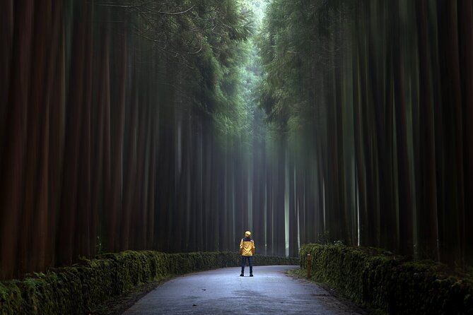 dott_tickets's tweet image. #Alongside a #private #guide, #enjoy a #fullday of #exploring the #volcanic #island of #Terceira, where you will #spend a #day in the #beautiful #Azorean #nature &amp;amp; #capture #photos of your #journey, from #sunrise- #sunset.

To book quote Ref: VIT/ADH👉buff.ly/3wJhaYE