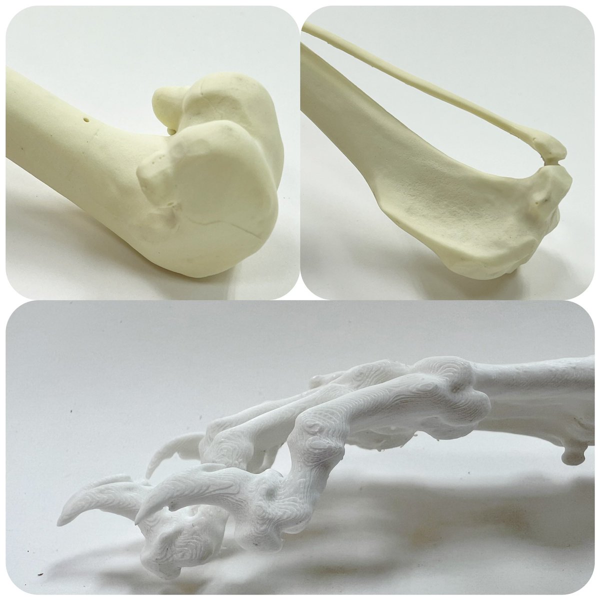 Get ready for an exciting reveal!
#synbone 
#pethealth 
#VET