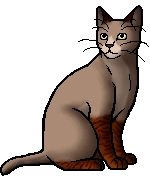 warriorsshipotd's tweet photo. 2nd ship otd is twigfin! (twigbranch x finleap)!
requested by @BuzzPrincess1!
twigbranch is transfem and finleap is transmasc
tags: #warriorcats #twigbranch #finleap https://t.co/Xk0MfXUOXE