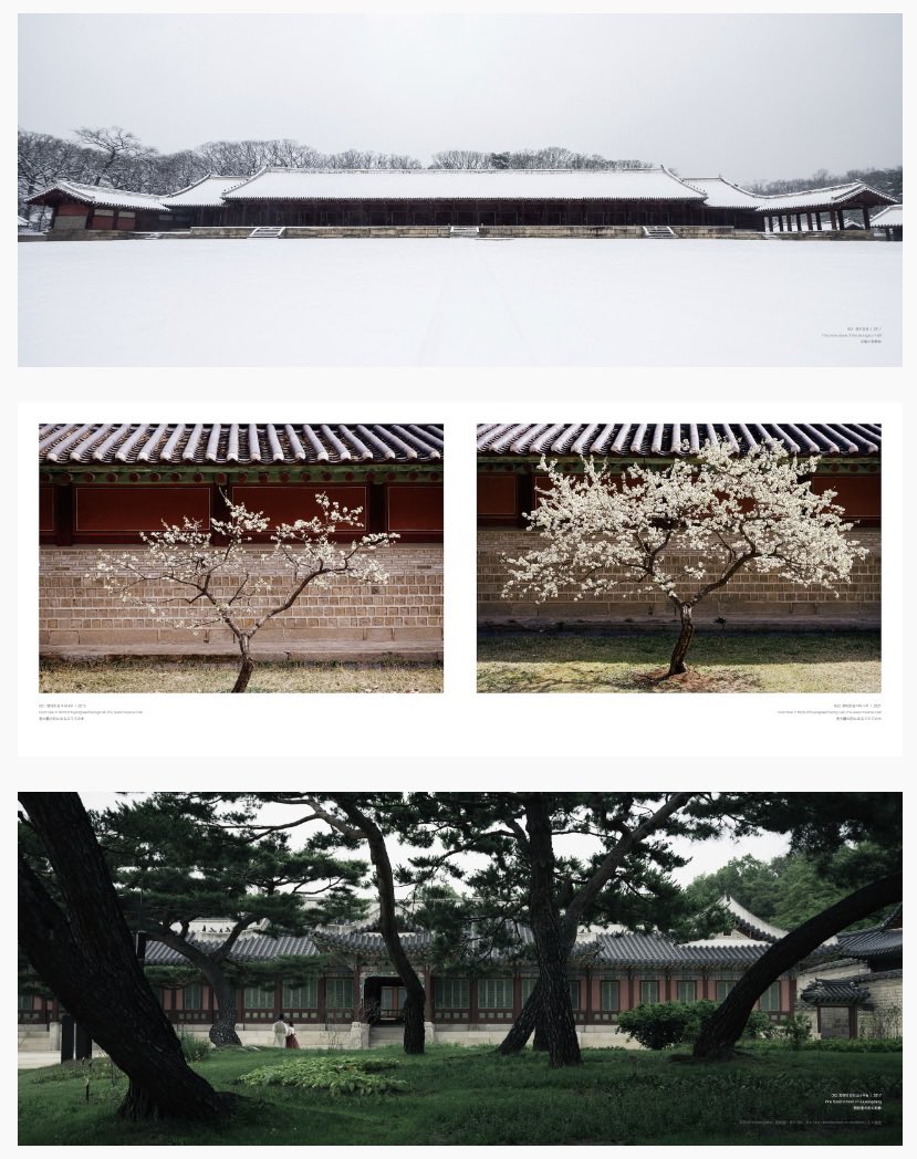 e_dongwook's tweet photo. https://t.co/BOH9quqjnE