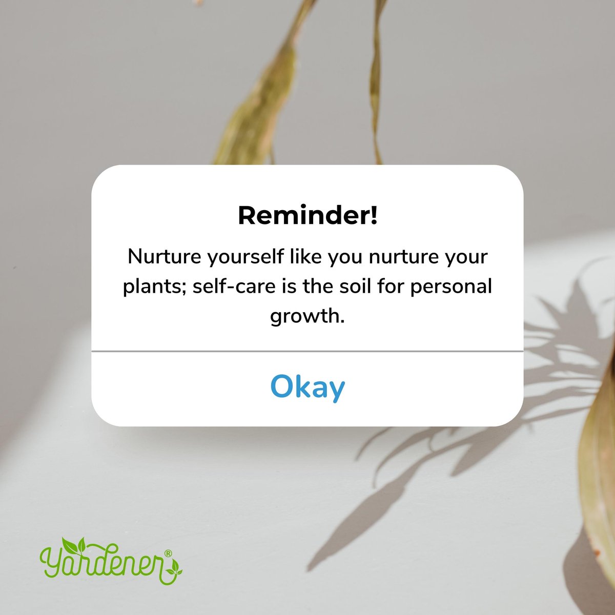 We often forget to prioritize ourselves amidst our busy lives. Just like how we take care of our plants with nourishing soil, we need to prioritize self-care as the foundation for our personal growth. 

Your well-being matters.

#selfcare #selflove #gardeningtherapy #GardeningX