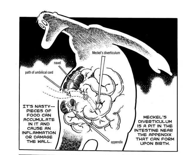 been rereading Blackjack god i love when Tezuka draws these anatomical drawings.