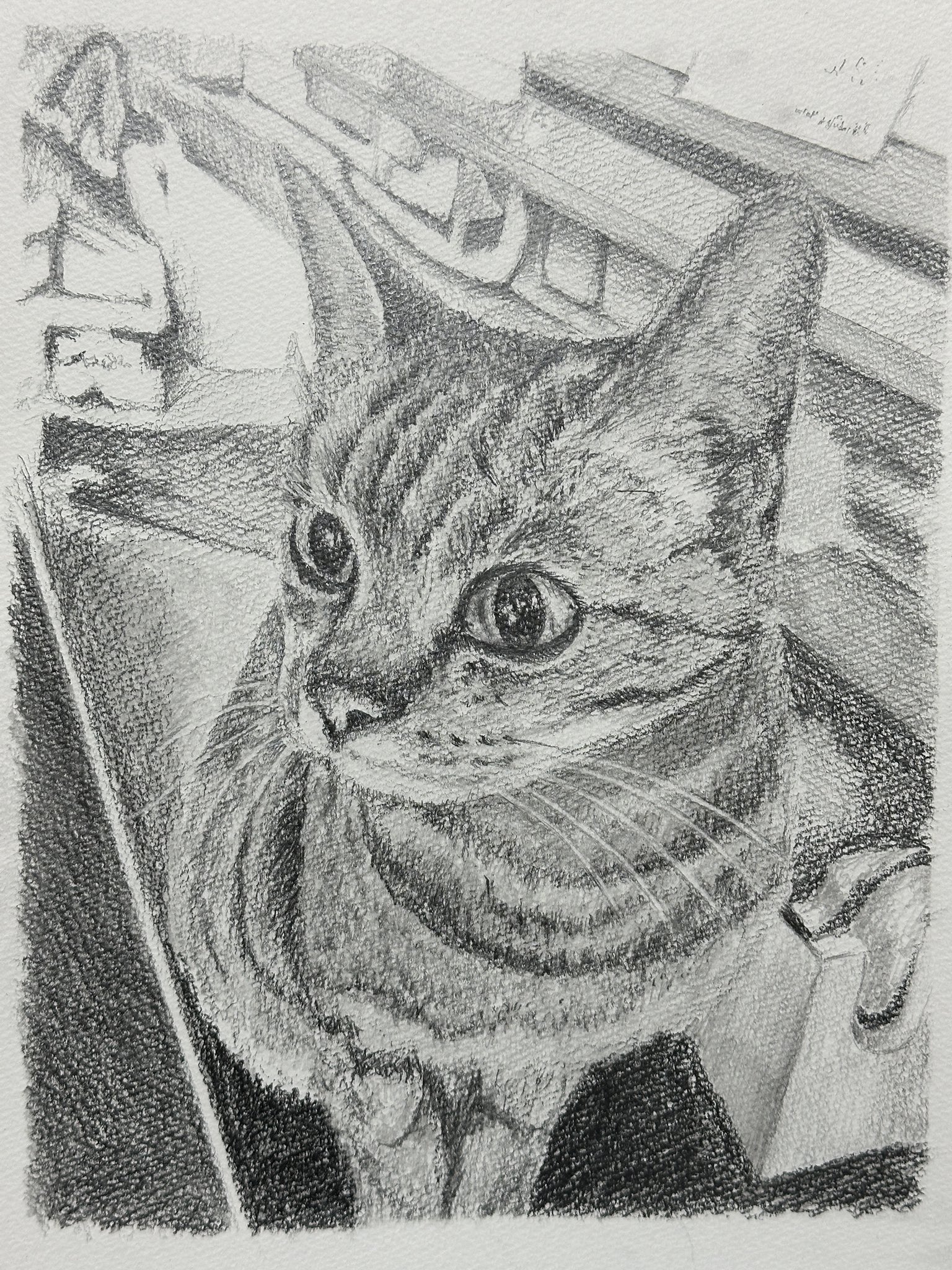 铅笔画 - Search / X