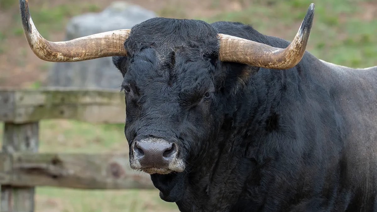 realWakeUpWorld's tweet photo. Tax his land, tax his wage,
Tax his bed in which he lays.
Tax his tractor, tax his mule,
Teach him taxes is the rule.

Tax his cow, tax his goat,
Tax his pants, tax his coat.
Tax his ties, tax his shirts,
Tax his work, tax his dirt.

Tax his chew, tax his smoke,
Teach him taxes are no joke.
Tax his car, tax his grass,
Tax the roads he must pass.

Tax his food, tax his drink, 
Tax him if he tries to think.
Tax his sodas, tax his beers,
If he cries, tax his tears.

Author Unknown