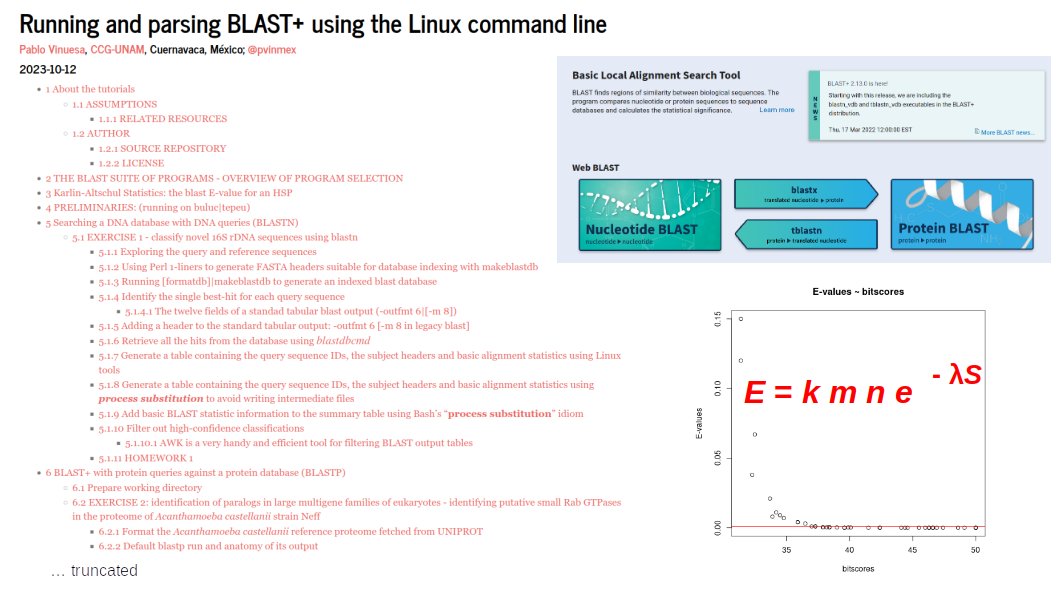 Interested in learning how to run #blastn, #blastp, and #blastx efficiently on the #Linux command line using #AWK, #Bash, #Perl, and #R code/idioms? This extensive and detailed hands-on tutorial may interest you 👉 bit.ly/3QcR2Qn #Bioinformatics #Blast @lcgunam 💻🧑‍💻