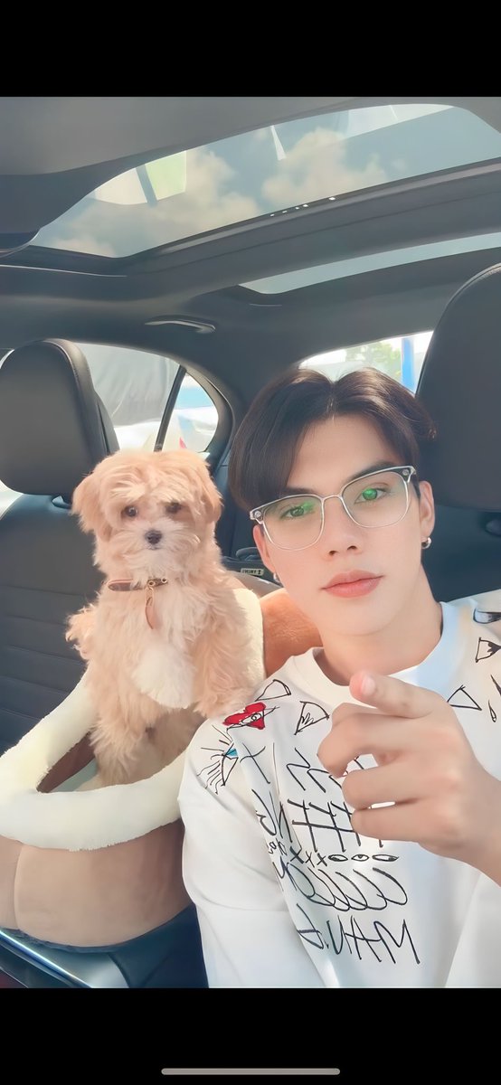 forfort 福福🐶🧸(Thippy）Fort❤️🧸 tweet media