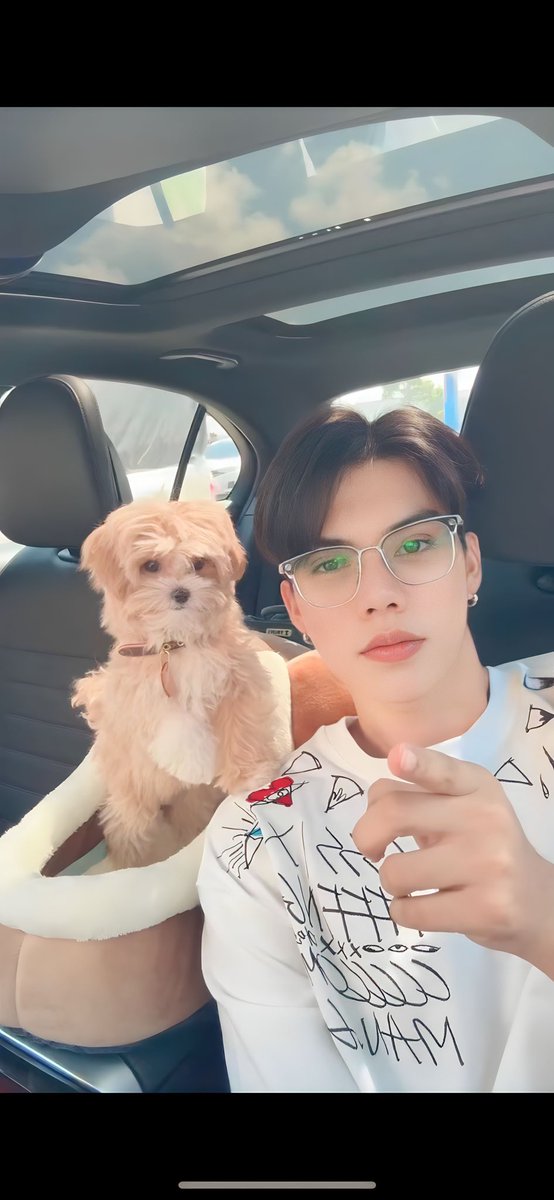 forfort 福福🐶🧸(Thippy）Fort❤️🧸 tweet media