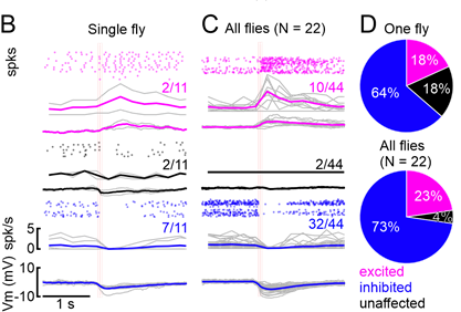 rituja14's tweet photo. 5/8: This dataset eloquently illustrates that heterogeneous IPC responses can indeed occur within a single animal. https://t.co/a6qQqWMFNy