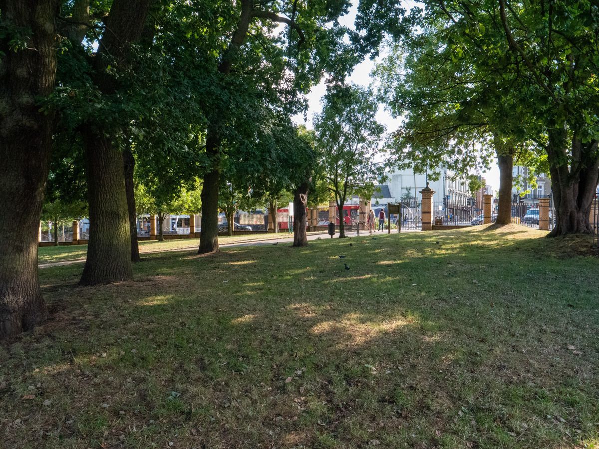 This time next week we’ll be sowing Yellow Rattle near the Boundaries Gate entrance to Crystal Palace Park - all welcome to join us! Come along on Friday 20th October 10am-12 noon to the corner of Crystal Palace Parade & Anerley Hill - all tools and refreshments provided. #SE19