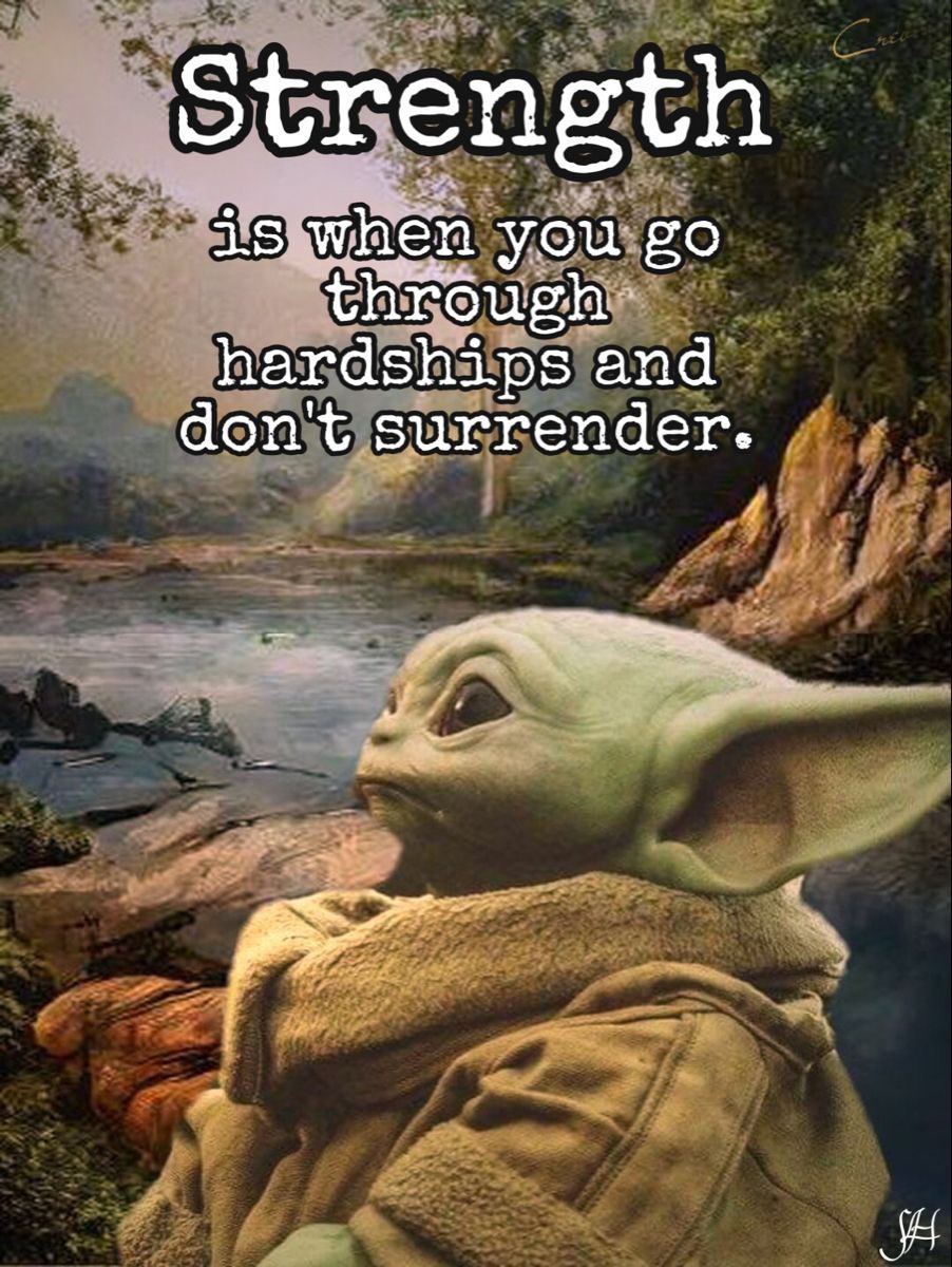 The Real Yoda tweet media