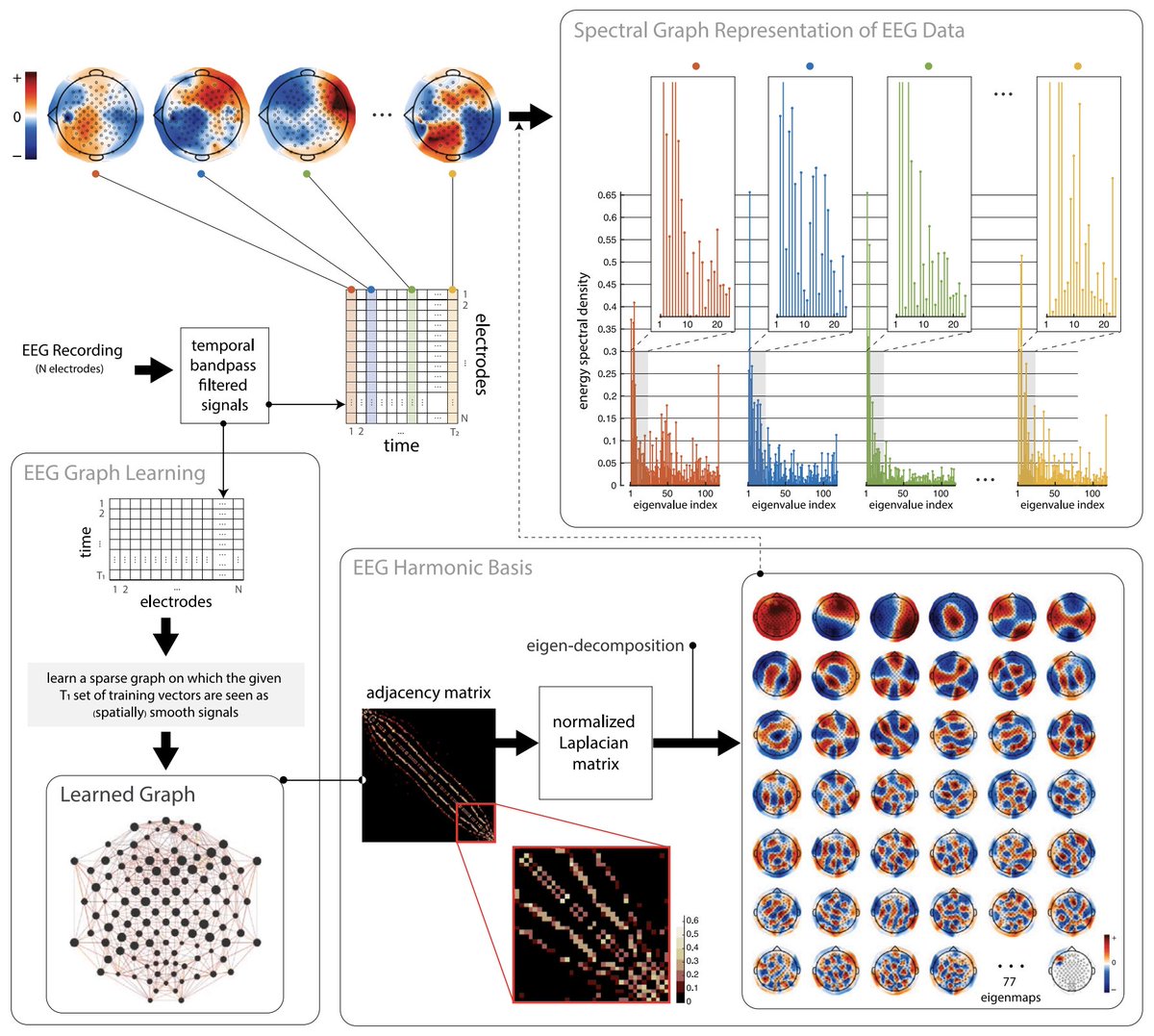 Harry H Behjat (@aitchbi) on Twitter photo Happy to share our work on 🧠 graph structure learning from EEG, led by <a href="/MlhMri/">maliheh miri</a>!
We use eigenmodes of learned graphs to decompose & extract features from EEG maps. #brainGSP
Paper: doi.org/10.1016/j.bspc…
⤵️ Happy to share our work on 🧠 graph structure learning from EEG, led by <a href="/MlhMri/">maliheh miri</a>!
We use eigenmodes of learned graphs to decompose & extract features from EEG maps. #brainGSP
Paper: doi.org/10.1016/j.bspc…
⤵️