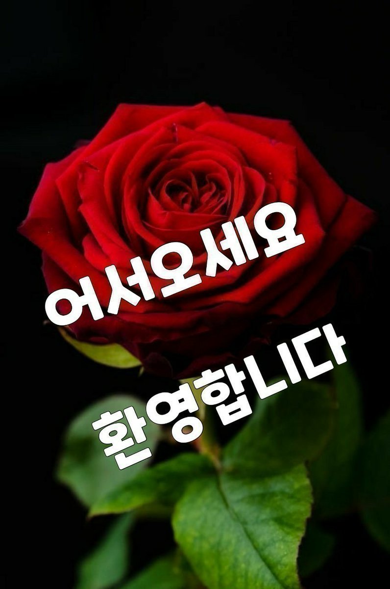 양길영 (@yyeong28115) on Twitter photo 